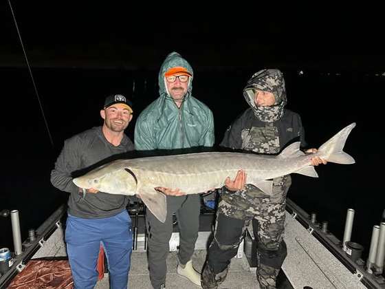 Night sturgeon — the river giant